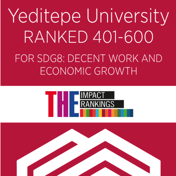 SDG 8
